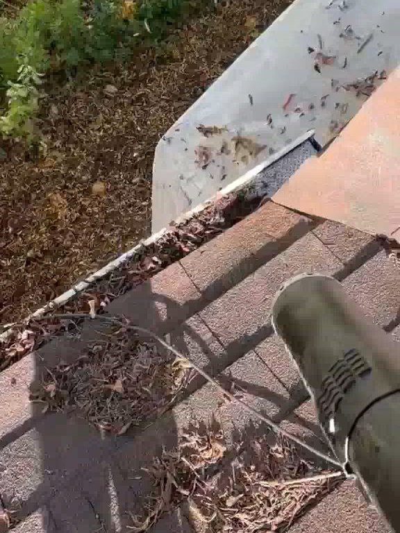 Vue du toit&nbsp;: une gouttière remplie de feuilles mortes le long d’un toit de bardeaux. D’autres feuilles sont accumulées sur le toit.